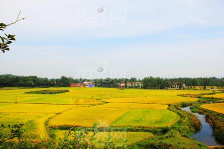 安陆天气预报10天查询