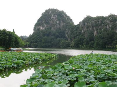 端州天气预报10天查询