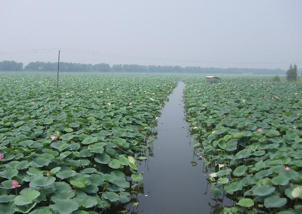 沈阳西湖天气