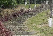 桃园溪州山登山步道天气